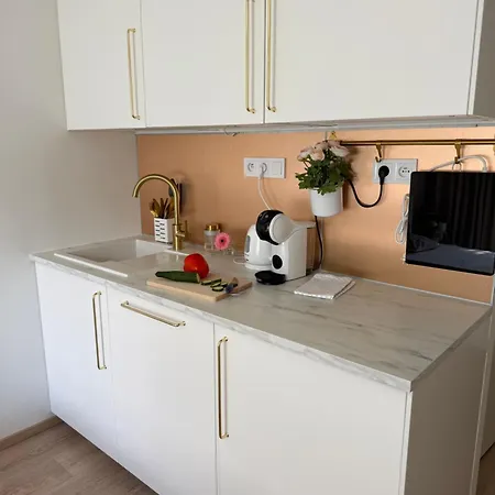 Golden Nest 公寓 布拉格